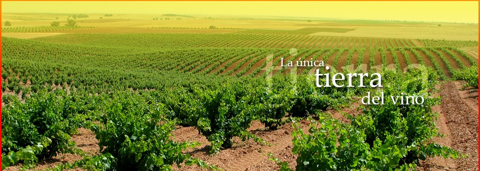 Tierra de Vino Zamora